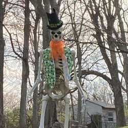 Sheamus The Irish