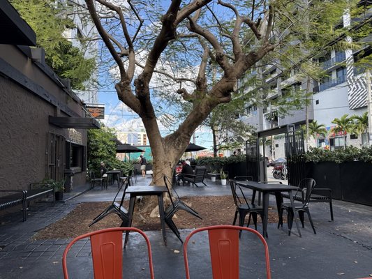 Panther Coffee - Wynwood by null