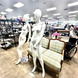 Goodwill, Berwyn