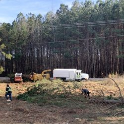 North Carolina Tree Removal - Efficient teamwork...very organized!