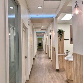Green Tree Dental - General Dentistry Near Me - Chicago, Illinois