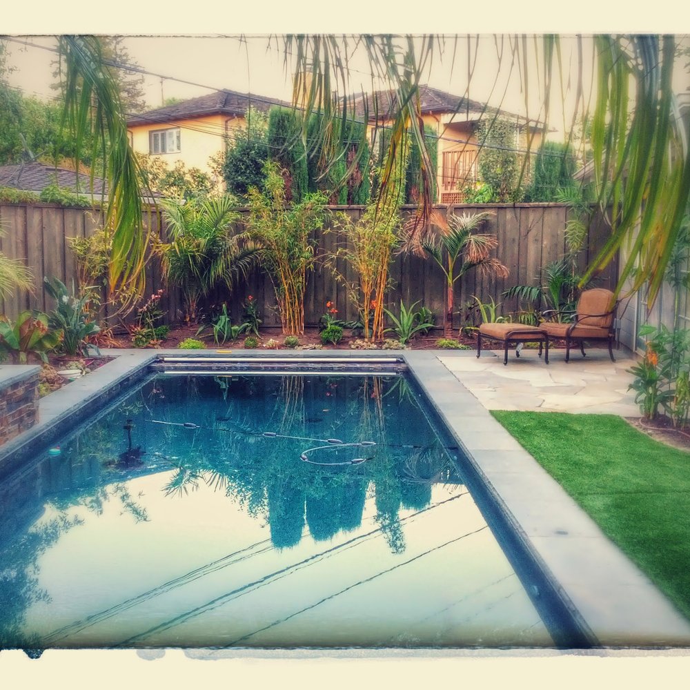 Golden Gate Palms & Exotics - Nurseries & Gardening Near Me - Richmond, California