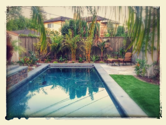 Golden Gate Palms by null