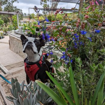 Hunter's Nursery - Nurseries & Gardening Near Me - Lemon Grove, California Hunter's Nursery - Nurseries & Gardening Near Me - Lemon Grove, California