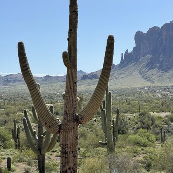 Apache Trail Tours - Tours Near Me - Apache Junction, Arizona