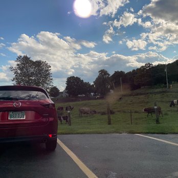 Rota Spring Farm - Cows! - Ice Cream & Frozen Yogurt Near Me - Sterling, Massachusetts