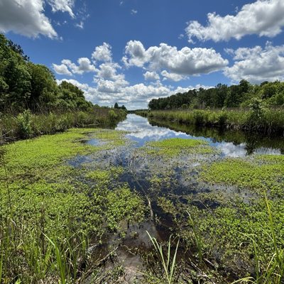 Caw Caw Interpretive Center by null