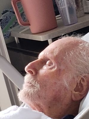 The Pavilion at Sunny Hills by null