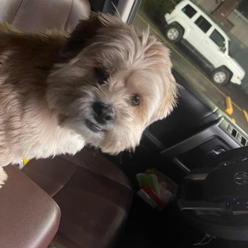 Sweet On Pets - Pet Groomers Near Me - Milwaukie, Oregon