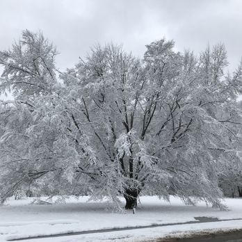 Cherokee Park - Magical today! - Parks Near Me - Louisville, Kentucky