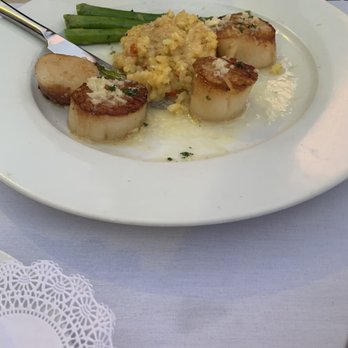 Yellow Dog Cafe - Scallops - Seafood Near Me - Malabar, Florida Yellow Dog Cafe - Scallops - Seafood Near Me - Malabar, Florida