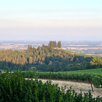 Black Walnut Inn & Vineyard - Valley overlook from patio - Bed & Breakfast Near Me - Dundee, Oregon