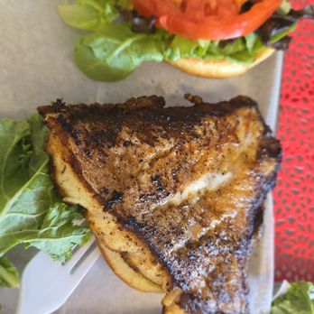 Lobster Pound - Blackened grouper - Seafood Markets Near Me - Bradenton, Florida Lobster Pound - Blackened grouper - Seafood Markets Near Me - Bradenton, Florida