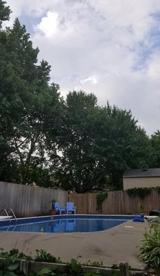Tree Removal - This customer called us to remove these trees to give their backyard pool area a little more sun and to save their fence. No job is to big or small for us. Call for a free estimate!! Tree Removal - This customer called us to remove these trees to give their backyard pool area a little more sun and to save their fence. No job is to big or small for us. Call for a free estimate!!