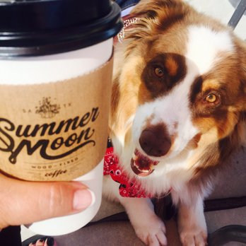 Summer Moon Coffee - Pet Friendly - Coffee & Tea Near Me - San Antonio, Texas Summer Moon Coffee - Pet Friendly - Coffee & Tea Near Me - San Antonio, Texas