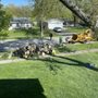 Photo of Andreu Tree Service
