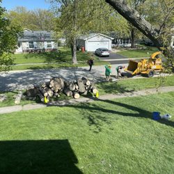 Andreu Tree Service