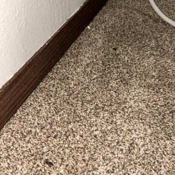 Pioneer Meadows - Roaches - Apartments Near Me - Moses Lake, Washington Pioneer Meadows - Roaches - Apartments Near Me - Moses Lake, Washington