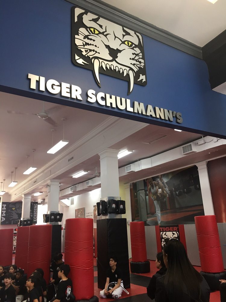 TIGER SCHULMANN’S MARTIAL ARTS REGO PARK 12 Photos & 30 Reviews