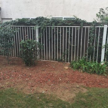 Vargas Tree Service - Cleanup! - Tree Services Near Me - Anaheim, California Vargas Tree Service - Cleanup! - Tree Services Near Me - Anaheim, California