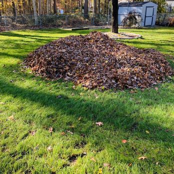 Benjamin's Property Services - Leaf cleanup - Lawn Services Near Me Benjamin's Property Services - Leaf cleanup - Lawn Services Near Me