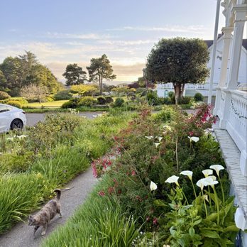 Joshua Grindle Inn - Front, at dusk - Hotels Near Me - Mendocino, California
