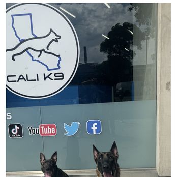 Cali K9 - Pet Training Near Me - Los Angeles, California Cali K9 - Pet Training Near Me - Los Angeles, California