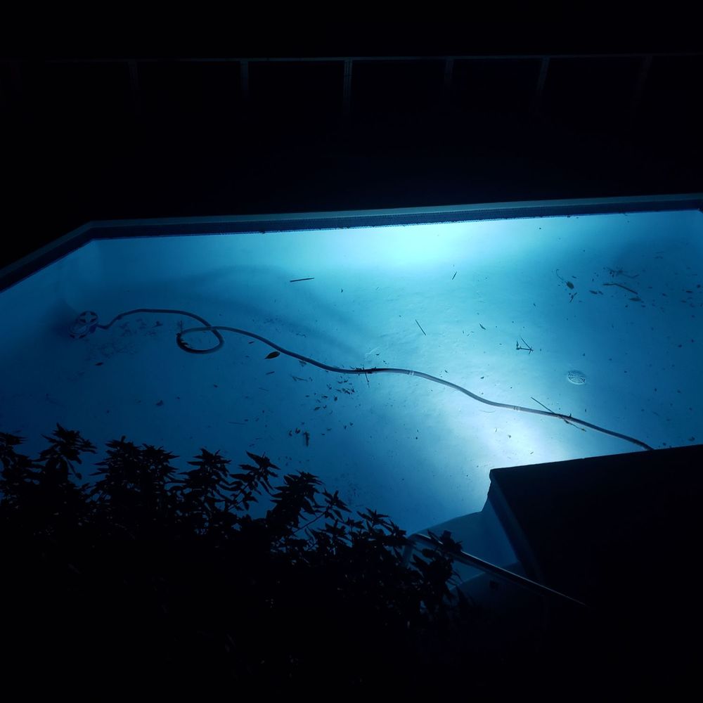 This is the condition of the pool at Hale Kai - Hawaii upon check in. This is the condition of the pool at Hale Kai - Hawaii upon check in.
