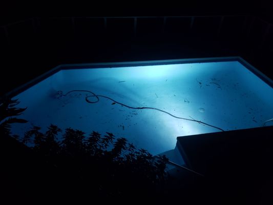 Hale Kai Hawaii Suites - Oceanfront Hilo Lodging by null