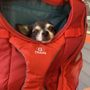 Fox Creek Animal Hospital