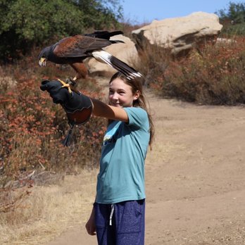 Sky Falconry - Specialty Schools Near Me - Alpine, California Sky Falconry - Specialty Schools Near Me - Alpine, California