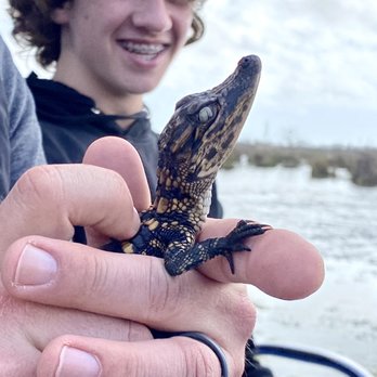 Louisiana Tour - Baby alligator - Tours Near Me - Marrero, Louisiana Louisiana Tour - Baby alligator - Tours Near Me - Marrero, Louisiana