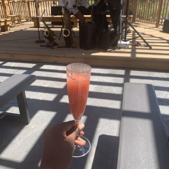Bloom Ranch Of Acton - Watermelon mimosa - Farms Near Me - Acton, California