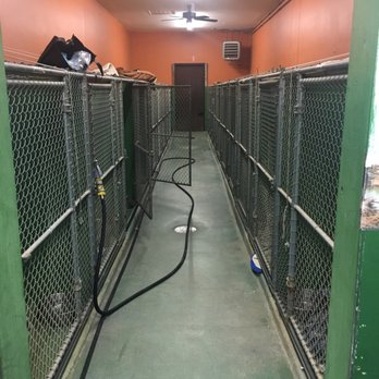 Fun Play Bark Lodge - Pet Sitting Near Me - Groton, Connecticut