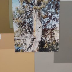 JPS Paint Center - Southwest Color Pallet