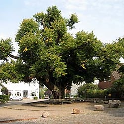 Klosterinsel Bordesholm