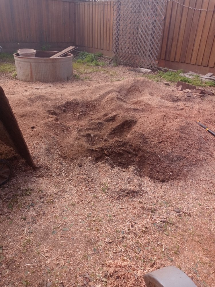 Tony's All Tree Service - tree service in Sacramento, CA