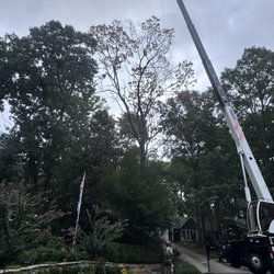 Sherman’s Tree Services