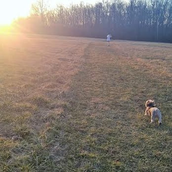 Lapping Park - Large field where trails meet 2/20/2016 - Parks Near Me - Clarksville, Indiana