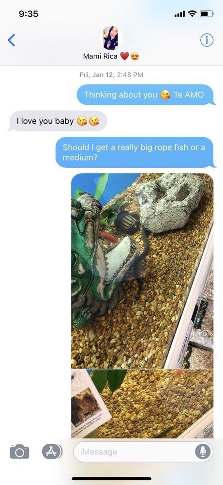 Pet Supermarket Image