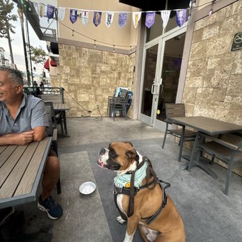 Limericks Tavern - Dog friendly restaurant ... in the patio! - Irish Near Me - Alhambra, California Limericks Tavern - Dog friendly restaurant ... in the patio! - Irish Near Me - Alhambra, California