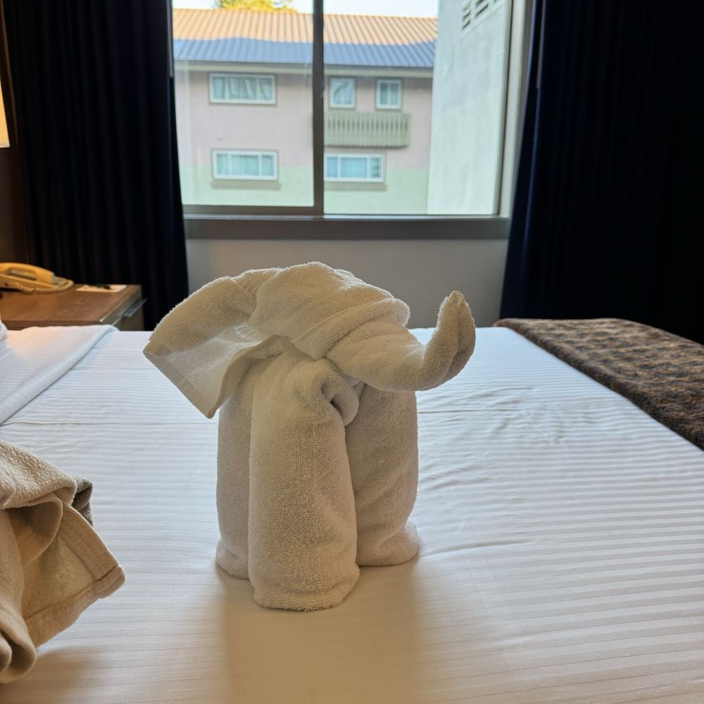 Mammoth Mountain Inn - Mammy the Mammoth made of extra towels on the bed - Ski Resorts Near Me - Mammoth Lakes, California Mammoth Mountain Inn - Mammy the Mammoth made of extra towels on the bed - Ski Resorts Near Me - Mammoth Lakes, California