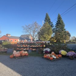 Top of the Hill Farm
