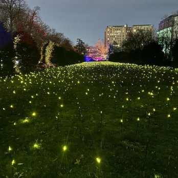 Brooklyn Botanic Garden - Brooklyn Botanical Garden Lightscape 2023 - Botanical Gardens Near Me - Brooklyn, New York