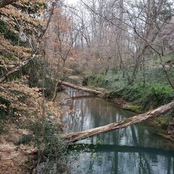 Lullwater Conservation Park