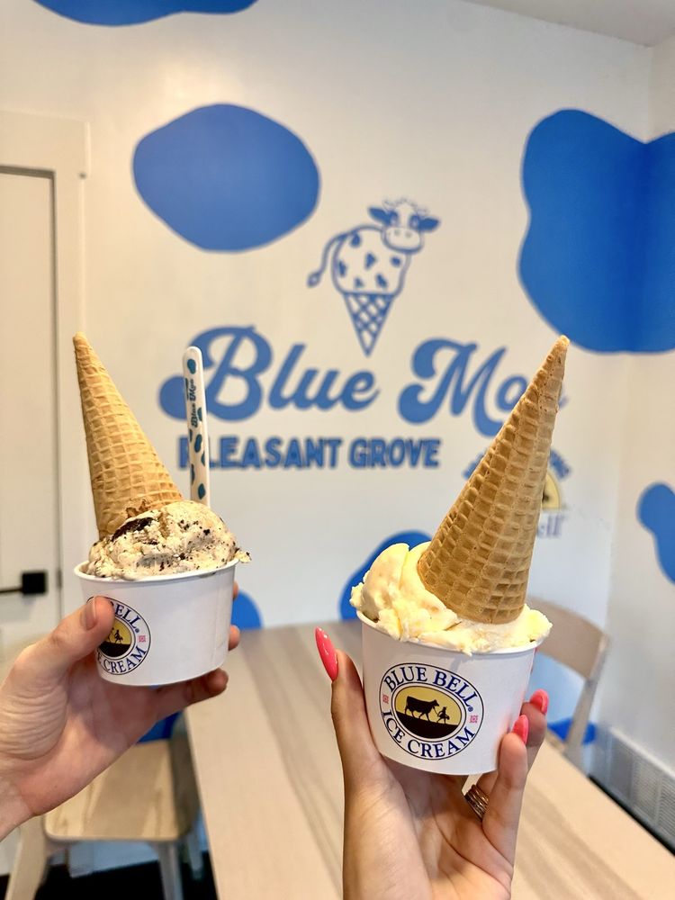 Blue Moo Ice Cream Logo