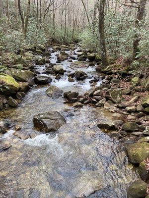 Jones Gap State Park by null