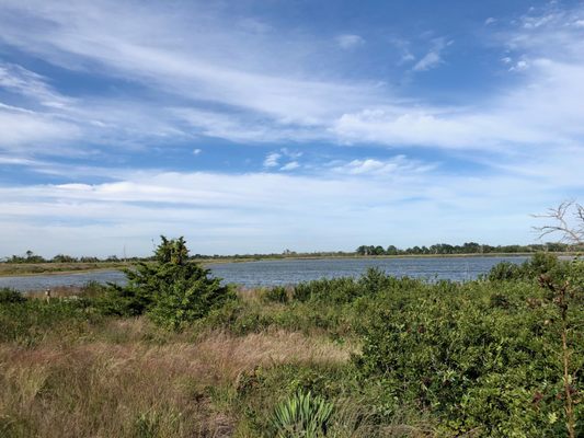 Jamaica Bay Wildlife Refuge by null