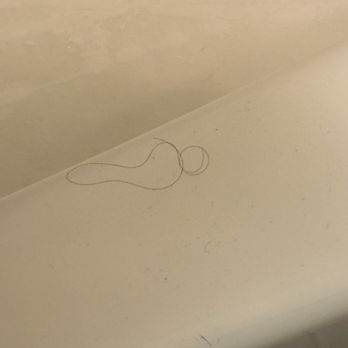 weHost - Hair in shower - Travel Agents Near Me - Sunny Isles Beach, Florida