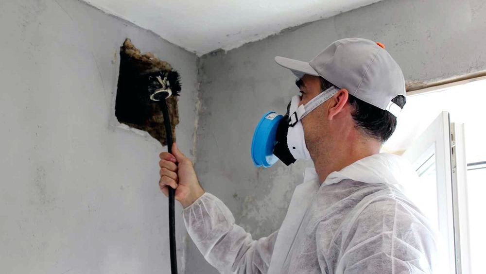 DMV PRO SERVICE Updated October 2024 16 Photos Ashburn, Virginia